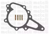metelli-240811
