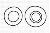metelli-241010
