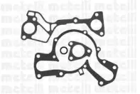 metelli-241012