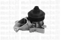 24-1046 METELLI