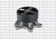 24-1172 METELLI