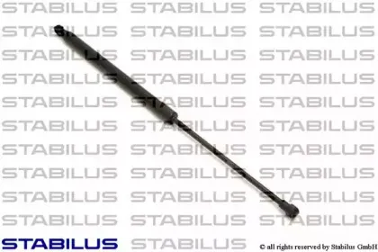 020594 STABILUS