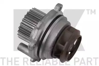 nk-10847005