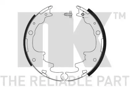nk-2725619