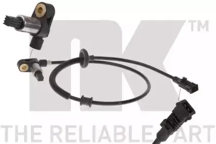 nk-291905