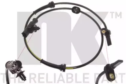 nk-291921