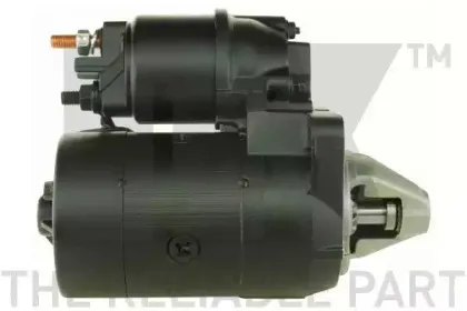nk-4719291