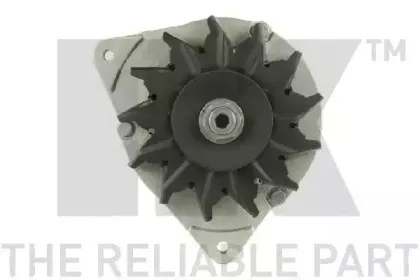 nk-4834200