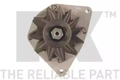 nk-4834830