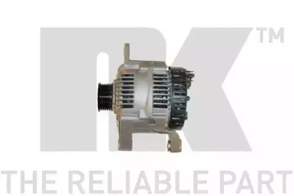nk-4838791