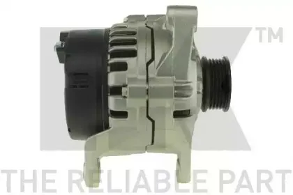 nk-4839550