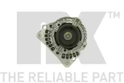 nk-4841230