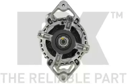 nk-4841260