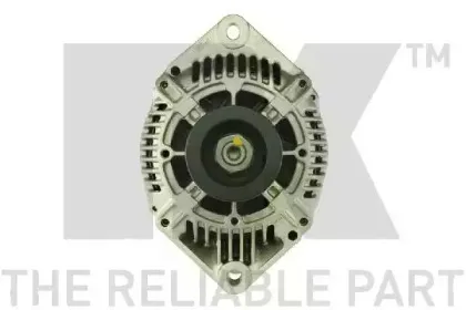 nk-4841381