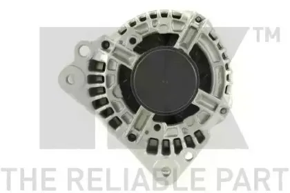nk-4841490