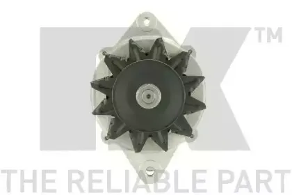 nk-4841790
