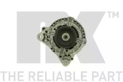 nk-4841890