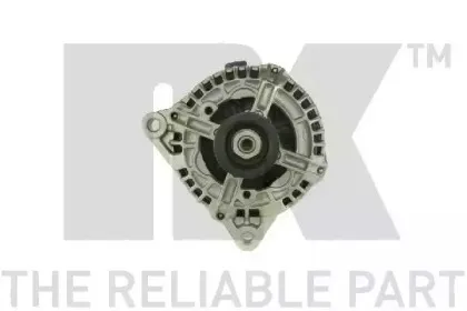 nk-4841930