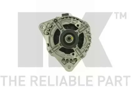 nk-4841950