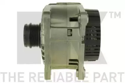 nk-4842830