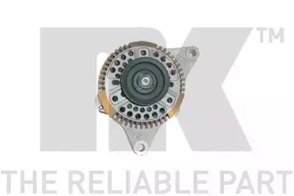 nk-4844691