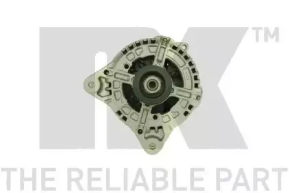nk-4846260