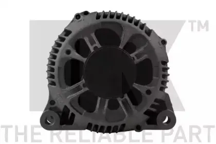 nk-4849161