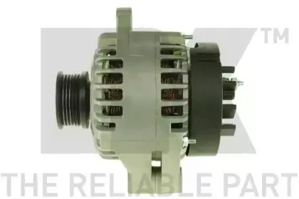 nk-4849530