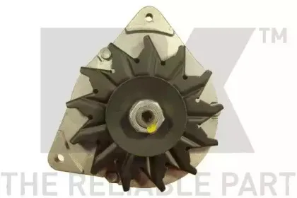 nk-4866461