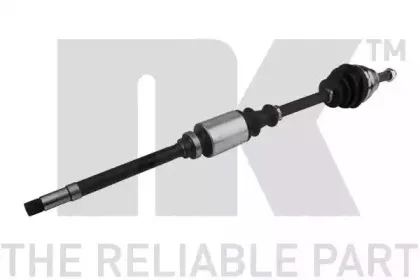 nk-501931