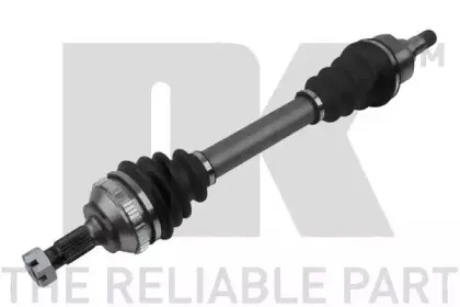 nk-501934