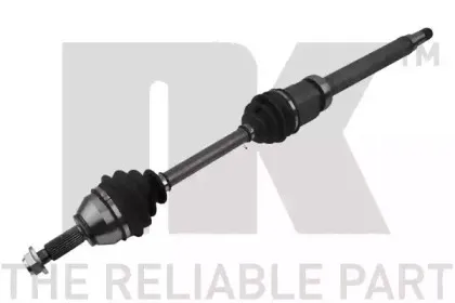 nk-502556