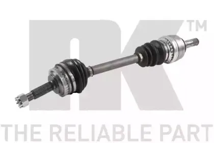 nk-503644