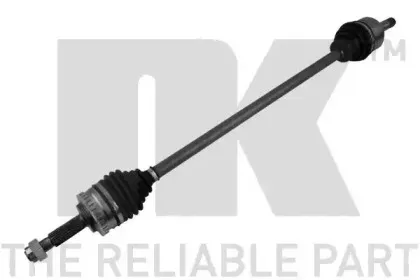 503654 NK
