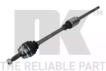 nk-503656