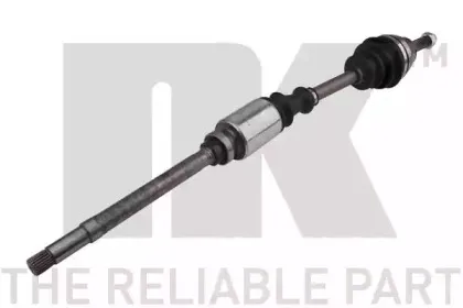 nk-503721