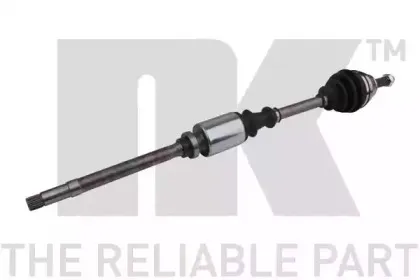 nk-503734