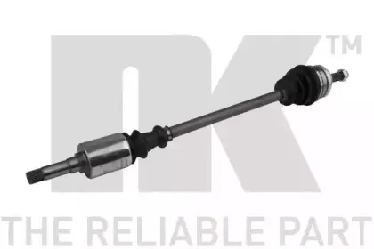 nk-503741