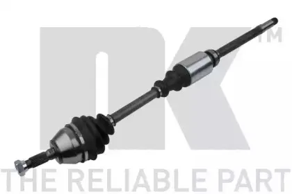 nk-503743