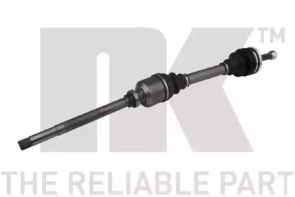 nk-503761