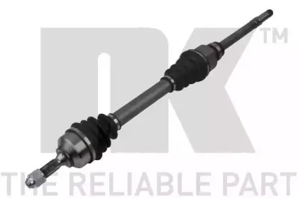 nk-503770