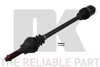 nk-503951