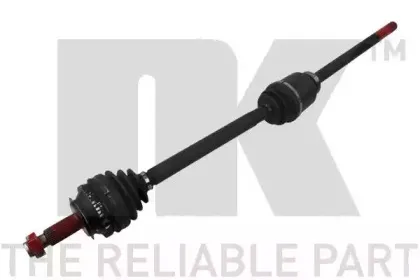 nk-503953