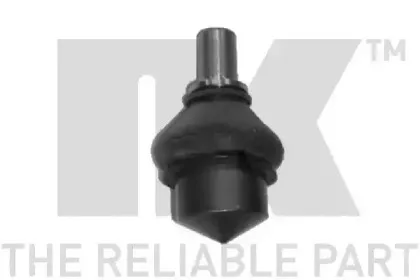 nk-5041201