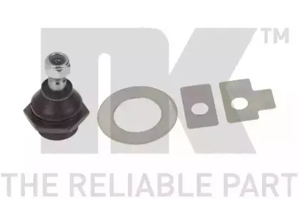 nk-5041202