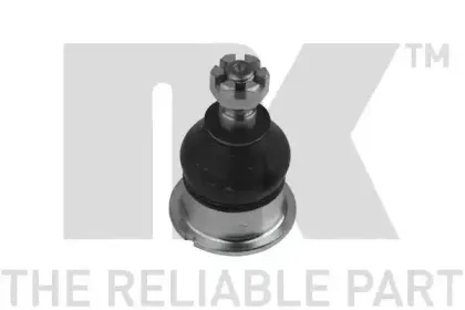 nk-5042613