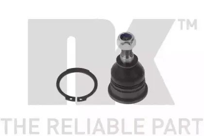 5043009 NK