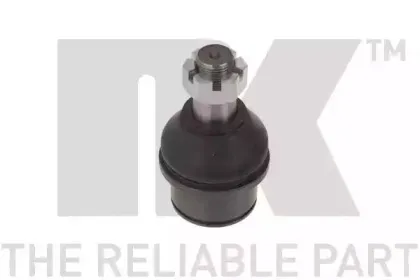 nk-5043502