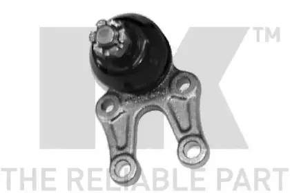 nk-5044523
