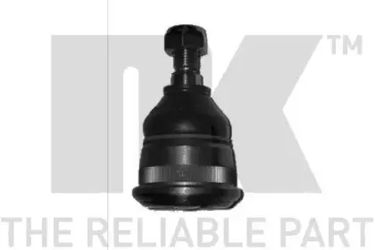 nk-5044807